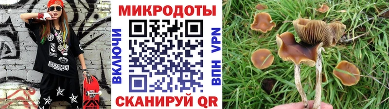 Галлюциногенные грибы Cubensis  Афипский 